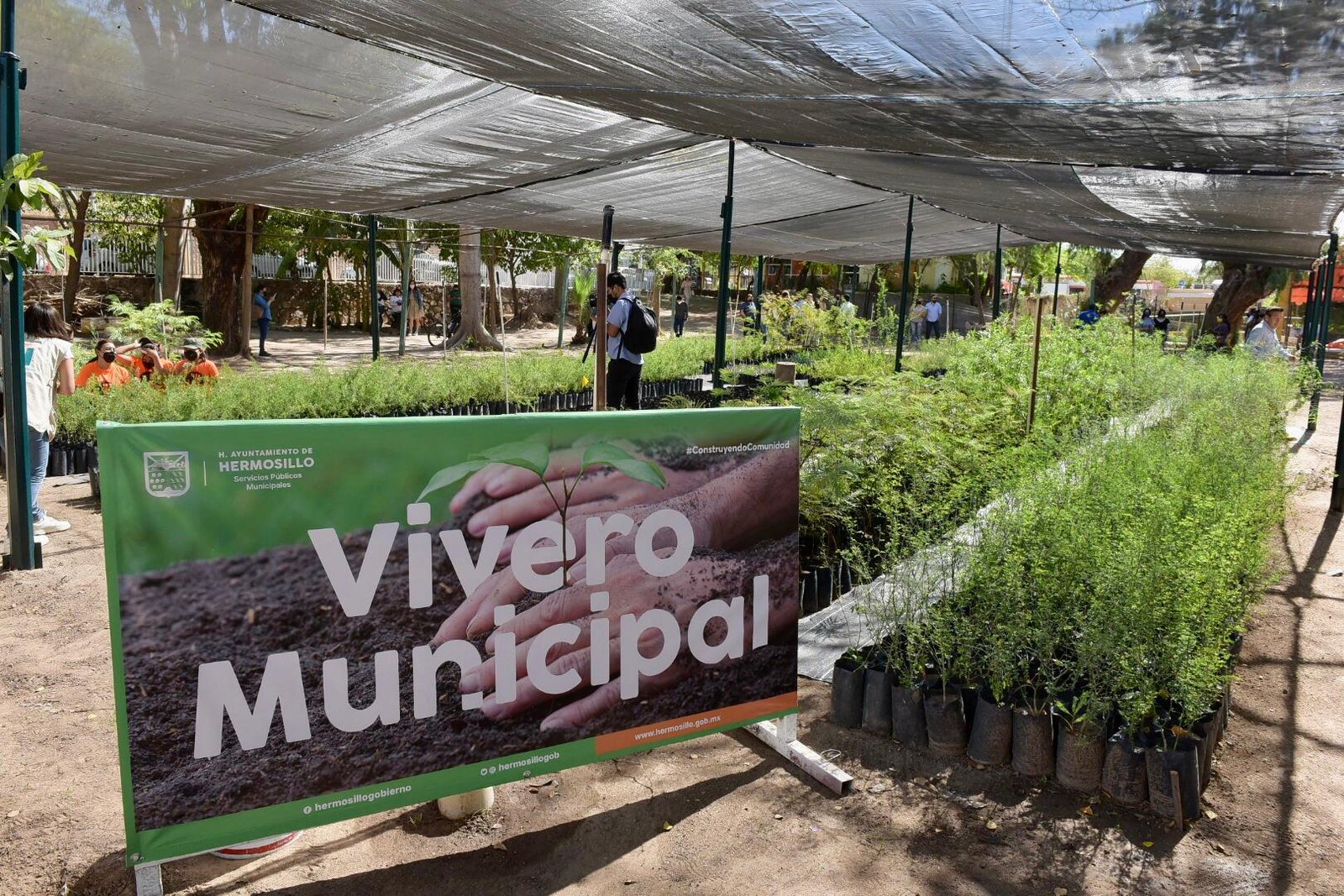 Donarán árboles nativos este viernes en el Vivero Municipal